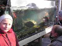 Die Fische des Sees werden im Aquarium bestaunt