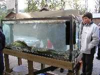Aquarium