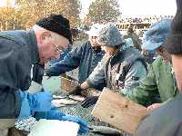 viele Helfer beim Sortieren der Fische