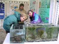 Infostand