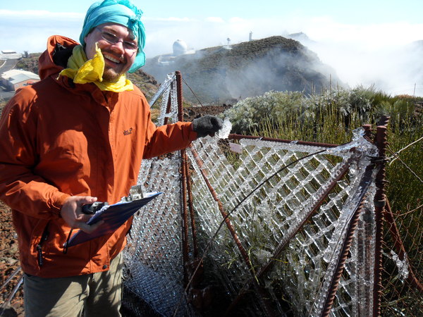 Ice covered exclosure fence used to keep out introduced herbivores after a surprisingly cold storm passed through at night. The picture was taken near the highest peak of La Palma, Canary Islands at around 2400 m.