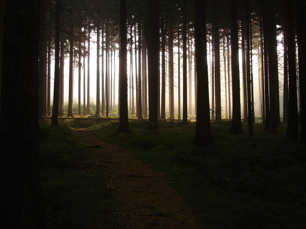 Licht ins Dunkel bringen