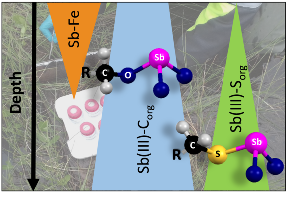 Graphical abstract