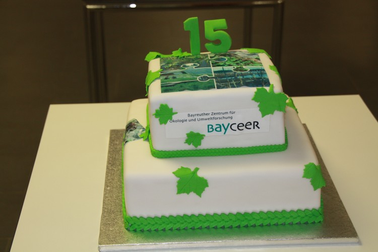 15 years of BayCEER  - Anniversary Cake
