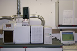GC-MS 1 (Gaschromatographie-Massenspektrometrie-Kopplung)