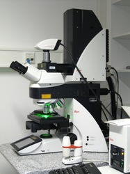 Konfokales Lasermikroskop