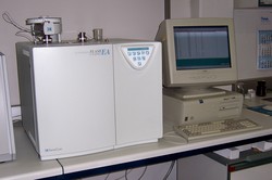 CN (Element Analyzer)