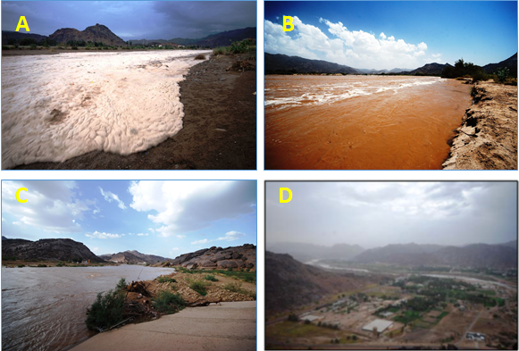Photos of a flood event in Wadi Najran on July 10, 2010. A: Approaching flood wave consisting of foam and debris. B: Flood maximum with a high sediment load recognizable by the high turbidity. C: Decaying flood wave. D: Wadi Najran from above during the flood event. 