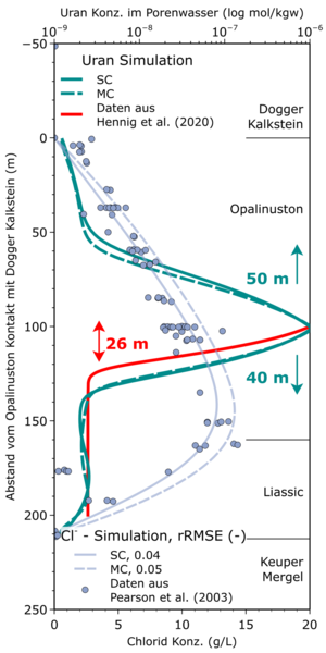 Geochemische Gradienten im Opalinuston-System am Mont Terri (blaue Punkte) verstärken die potenzielle Uranmigration (grüne Linie) durch die Formation im Vergleich zu homogenen Simulationen (rote Linie). Das modellierte Chlorid-Profil stimmt mit den gemessenen Daten überein, die aus Bohrlochanalysen stammen (Perason et al., 2003). Die y-Achse ist die Entfernung senkrecht zum Kontakt zwischen Opalinuston und Doggerkalk.