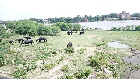 Der Fluss Yamuna an einem potenziellen Uferfiltrationsstandort des Wasserwerks Agra 200 km südlich von Neu Delhi, Indien