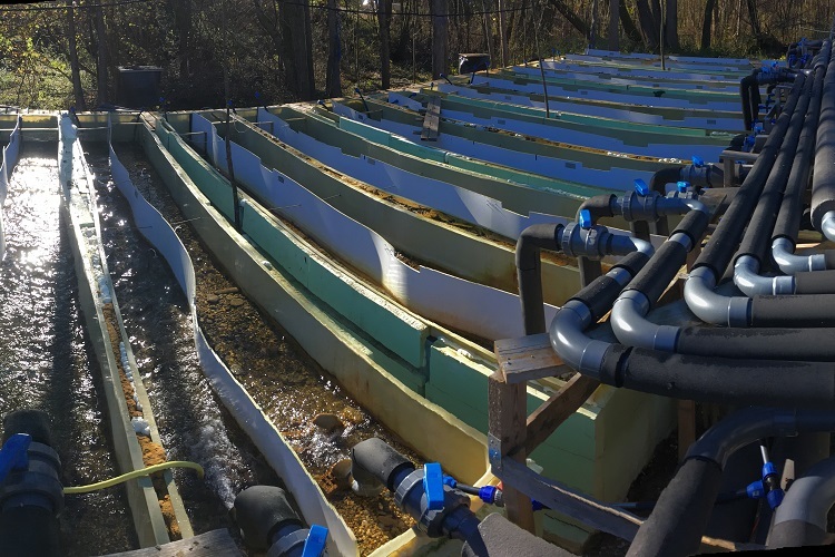 AquaKlif flow channel experiment, Freising