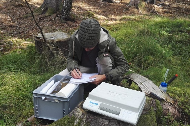 Recording data at the forest springs