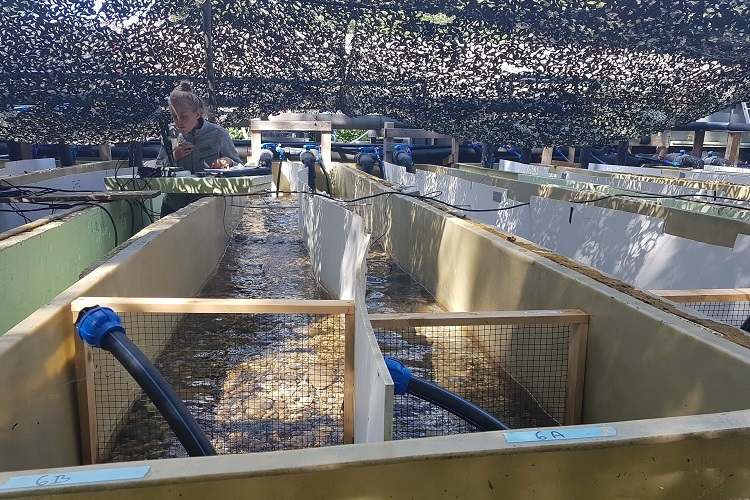 AquaKlif flow channel experiment, Freising