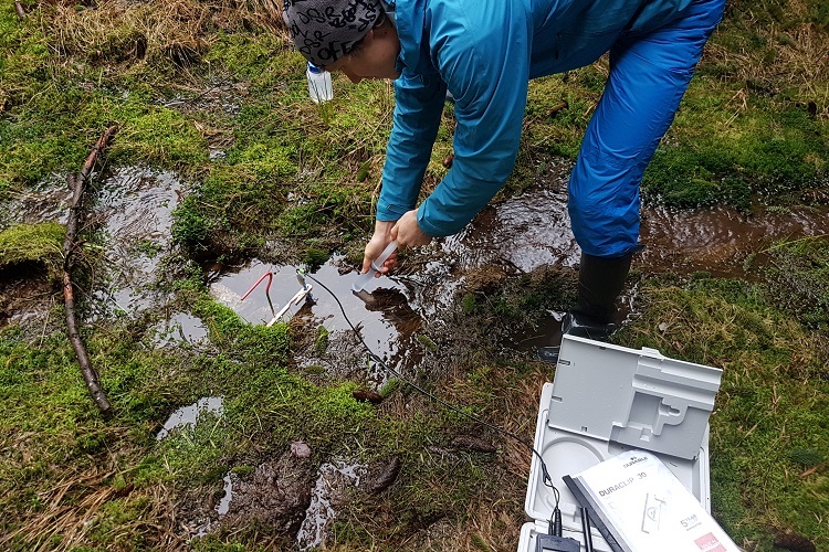 Recording data at the forest springs