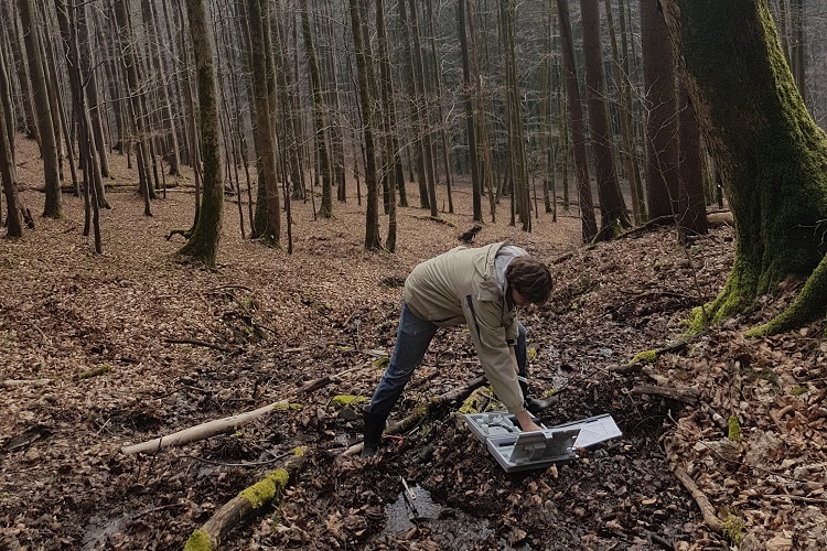 Recording data at the forest springs