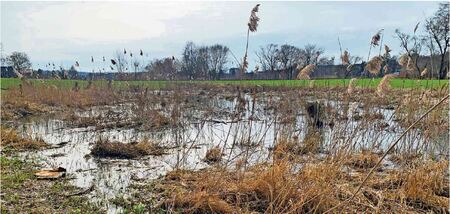 Zum Weltwassertag: Wasser in der Fläche halten