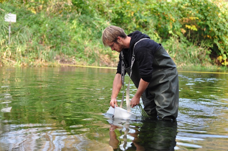 Taking samples in the stream