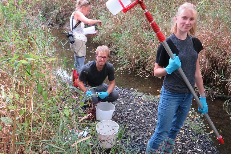 Taking samples in the stream