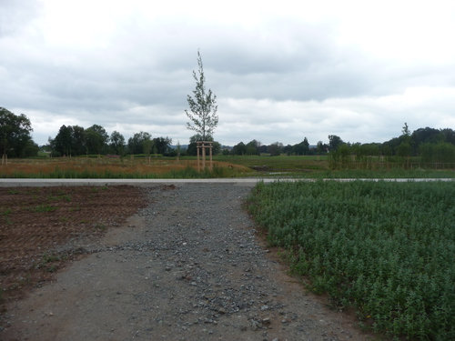 Z 2. Tafelschwerpunkt: Station BUND  (Nummern 03-05)
