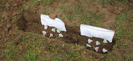Exploring the soil under your feet with buried tea bags and undies?