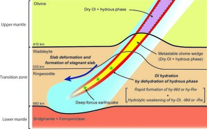 Dry metastable olivine and slab deformation in a wet subducting slab