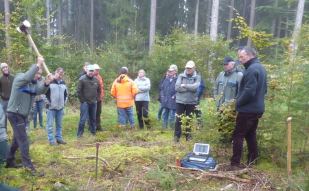 Forum Zukunftswald: Baumarten für den Wald von morgen