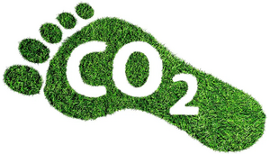 Bayreuth researchers develop a more precise carbon footprint