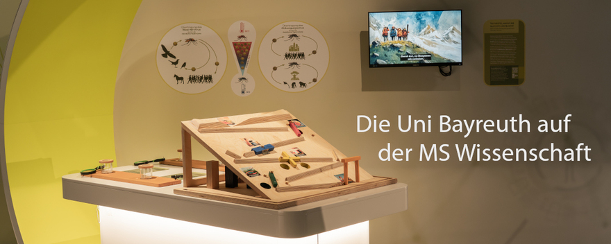 MSWissenschaft2026