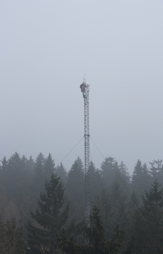 März: Turbulenzen im Fichtelgebirge