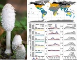 https://www.uni-bayreuth.de/press-releases/fungal-occurrence-climate