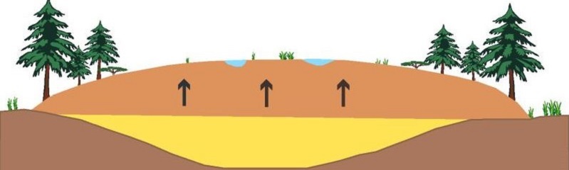 Schematische Zeichnung Hochmoor (LfU)