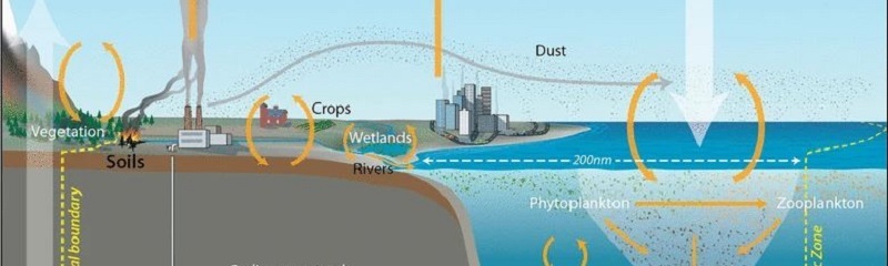 Global-Carbon-Cycle_creditJackCook