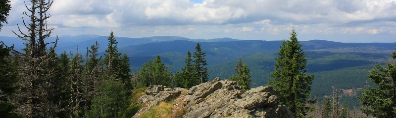 Bayerischer Wald, Blick vom Rachel (c Willow) 