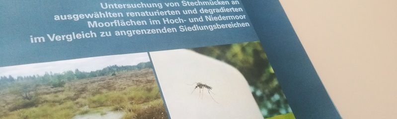 LfU-Studie Mücken in renaturierten Mooren