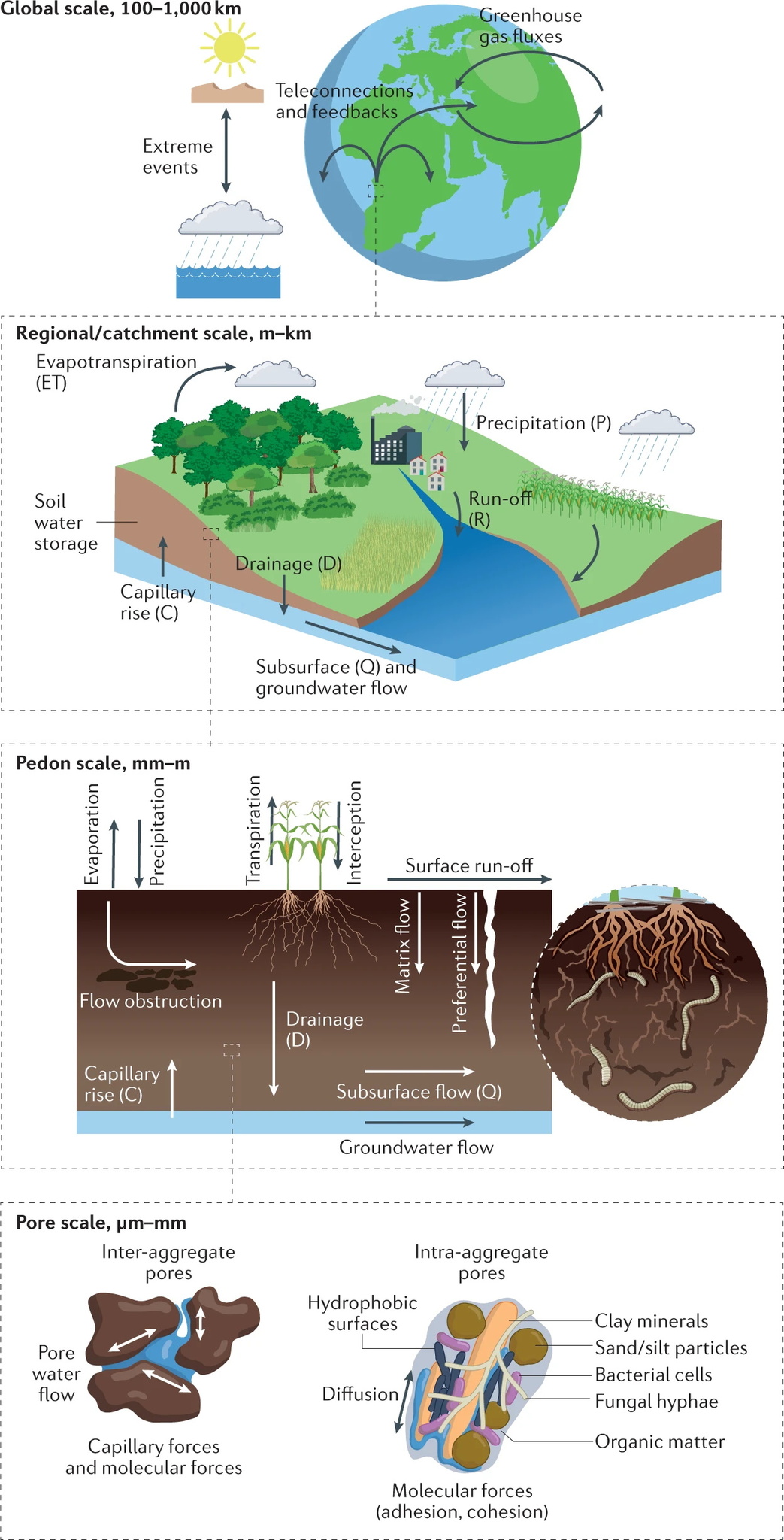 Introduction to Soil Physics (BSc)