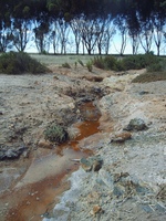 Western Australia