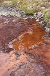 Environmental biogeochemistry