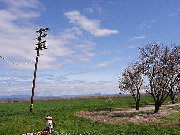 University Farm