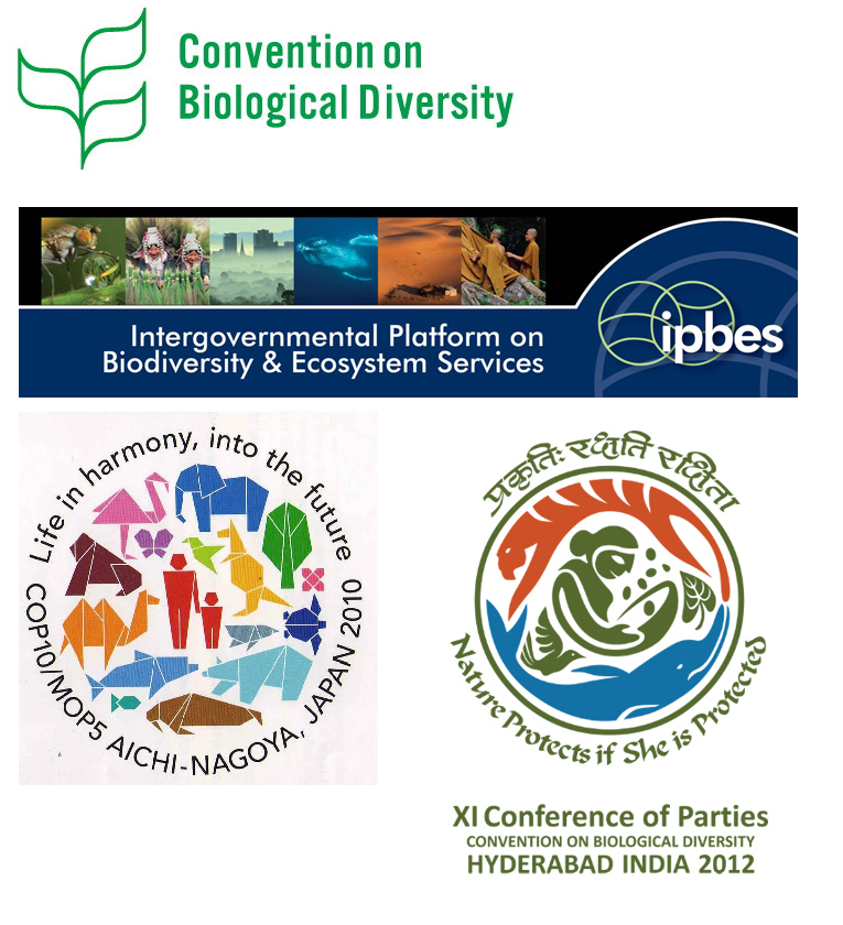ipbes