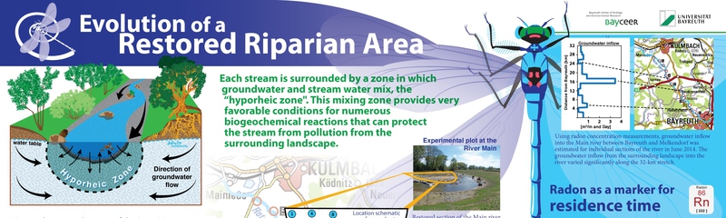 Evolution of a Restored Riparian Area