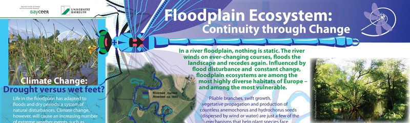 Floodplain Ecosystems