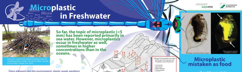 Microplastic in Freshwater