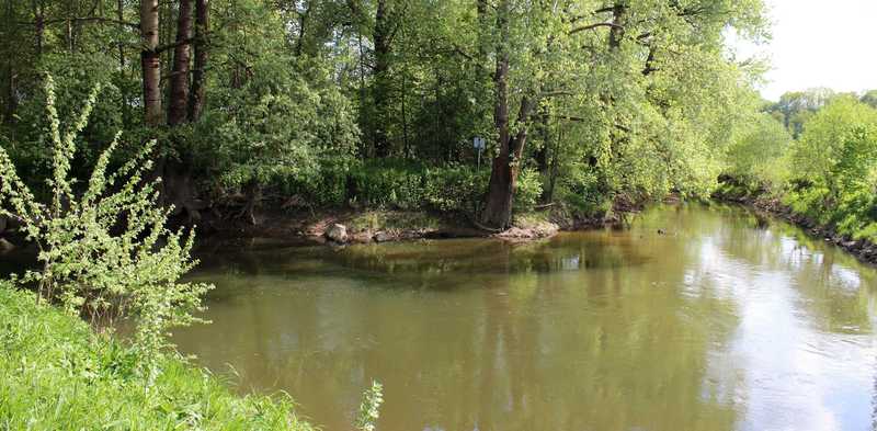 Main-Zusammenfluss (Reinhard Krug)