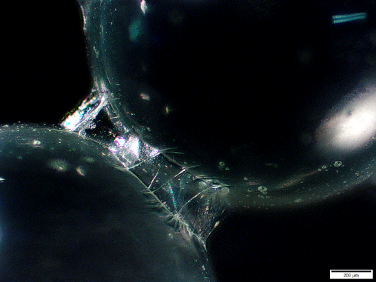 Dry-mucilage-bridge