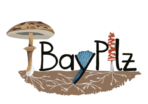 Logo baypilz2026