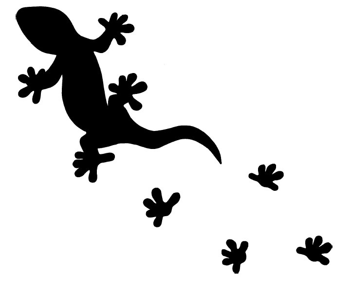 Absolventenfeier Geoökologie: Kontakt: Kontakt