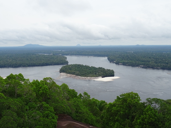 Floodplain forests of the upper Negro River, Brazil