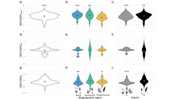 Distribution of standardized effect sizes for community weighted means of three traits proxy of stress tolerance: leaf dry matter content (SES-CWMLDMC, top row), seed mass (SES-CWMSM, middle row) and plant height (SES-CWMH, bottom row). Panels are arranged in a 3 &times; 3 grid: columns denote the type of comparison and rows correspond to traits. Column 1 (a, d, g) shows the overall distribution of SES-CWM across all plots (n = 48); Column 2 (b, e, h) shows within‑biogeographic‑region variation (alpine, continental, mediterranean); Column 3 (c, f, i) shows the effect of aspect (North vs South). Diamonds indicate sample means. For each panel, the significance of mean values different from zero was assessed with linear models using HC3 robust standard errors. The model intercept (for overall distributions) and the estimated marginal means (for biogeographic regions and aspects) were tested against zero. Significance is shown only when the intercept or the one‑tailed test indicates stress‑tolerance: i.e. SES-CWMLDMC and SES-CWMSM significantly greater than zero (right‑tailed tests), and SES-CWMH significantly less than zero (left‑tailed tests). Significance levels: *** p < 0.001, ** p < 0.01, * p < 0.05.