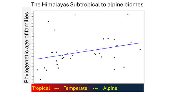 Horizontal axis depicts the central tendency of families from tropical to alpine environment in the Himalayas, and the vertical axis shows Phylogenetic age of families. Spearman rank-correlation  Rho= 0.399  p>0.07, Not significant (n=35).