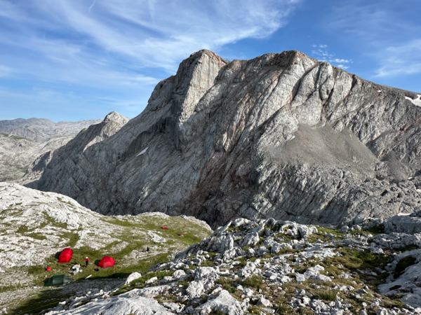 Florsitic summit monitoring in the Nationalpark Berchtesgaden